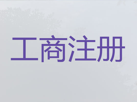 天津注册公司代办专员,注册游戏公司办理代办,公司注册一站式服务